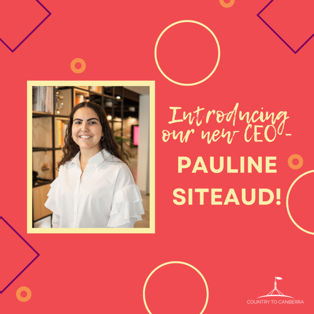 "Introducing our new CEO Pauline Siteaud!" a photograph shows Pauline smiling and wearing a white shirt, she has long dark curly hair